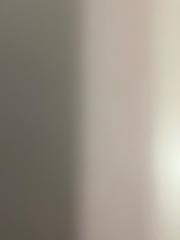 שרון רויטמן