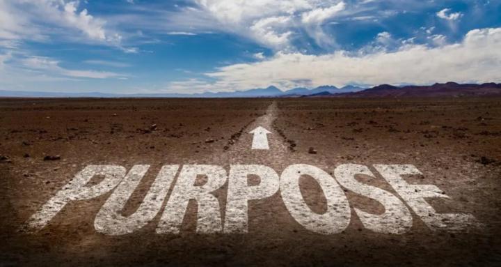 Rise on purpose