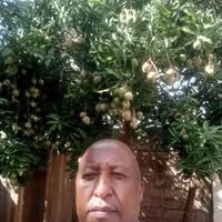 Francis Kiruthi