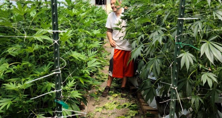 Home Chronic Cultivation