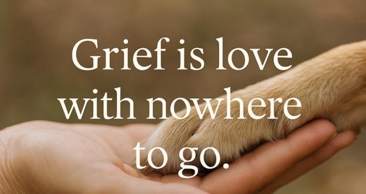 Fur-Ever The Pet Grief App