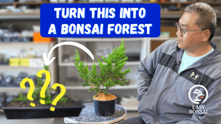 New Video This Week!