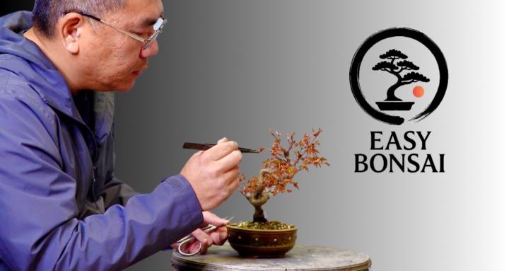 Easy Bonsai