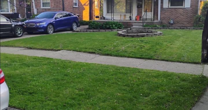 Reeds Lawn care and Hauling