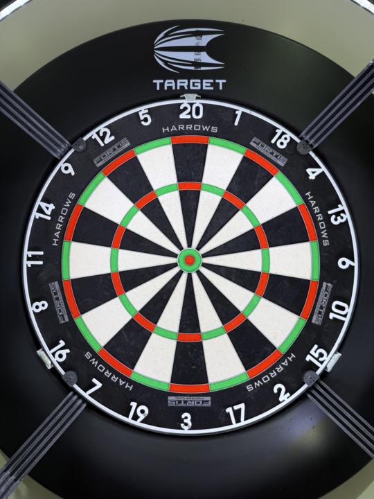 X2 Great Dartboards! 