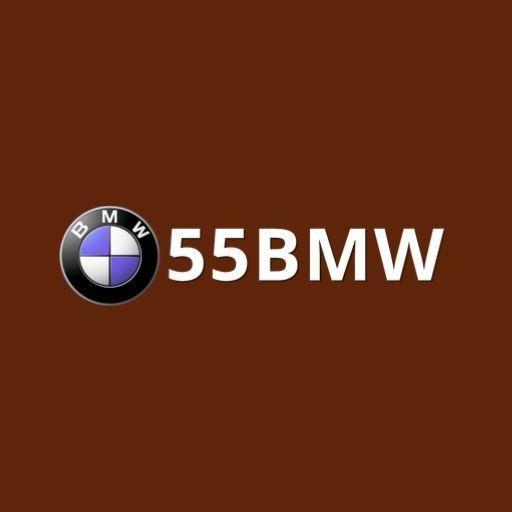 Bmw Phcom