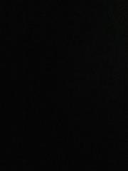 Laura Vitoria Jiménez