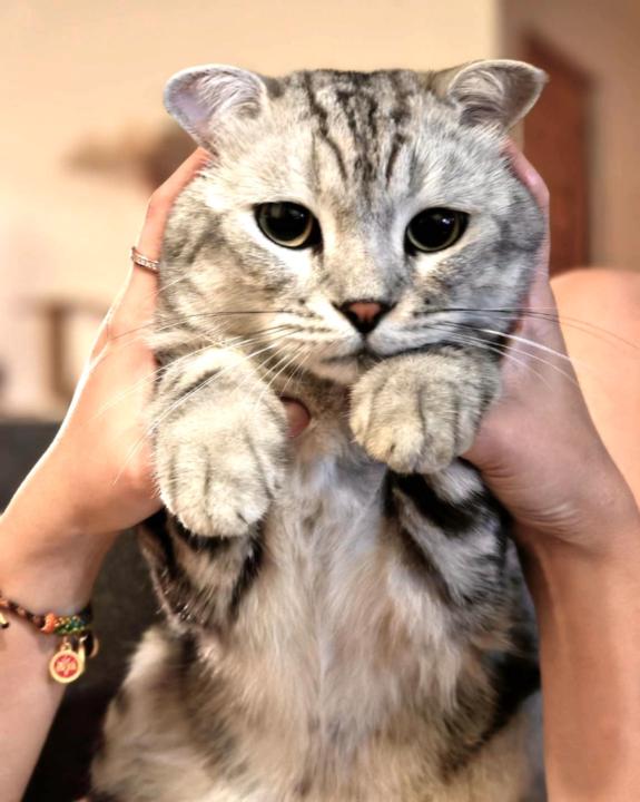 Natthanart Phuakpong