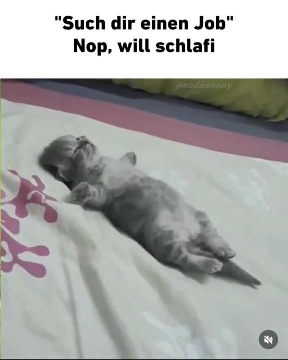 Elijah B