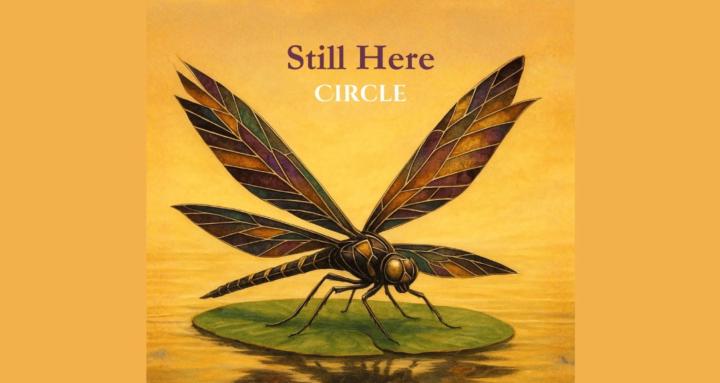 Still Here Circle