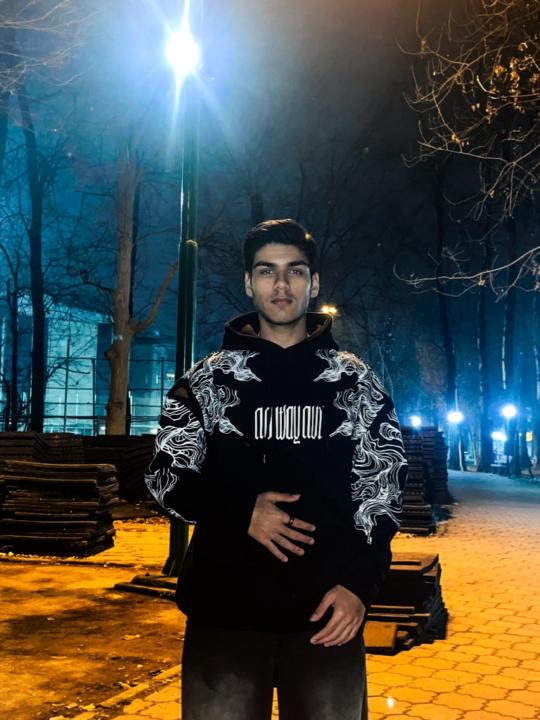 Pouria Tavana
