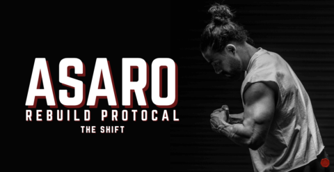 ASARO Rebuild Protocol  gallery image