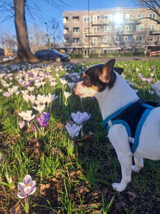 Aleksandra Kwiatkowska