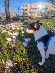 Aleksandra Kwiatkowska