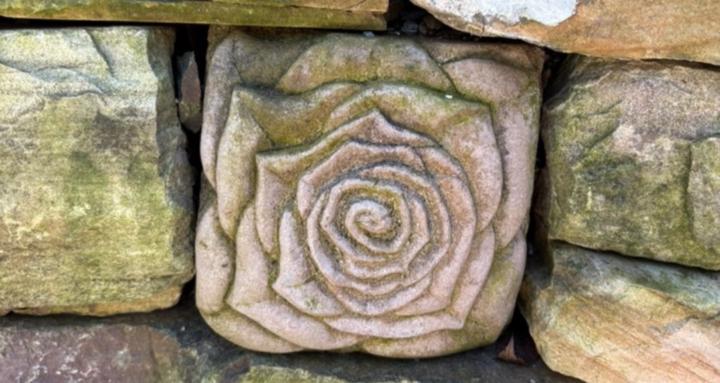 Woman Within: Sacred Alchemy