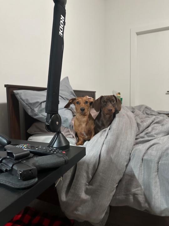 Eugenio Martin-Carreras