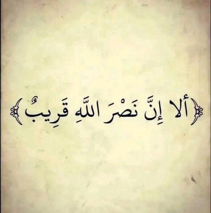 Fayssal Seg