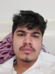 Mahesh M Paudel