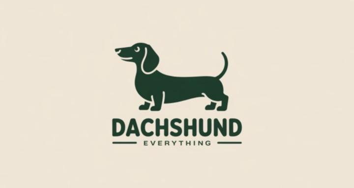 Everything Dachshund