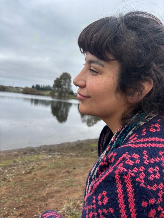 Cynthia Escares cifuentes