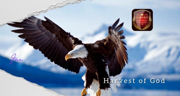 HARVEST TALK TO YOU