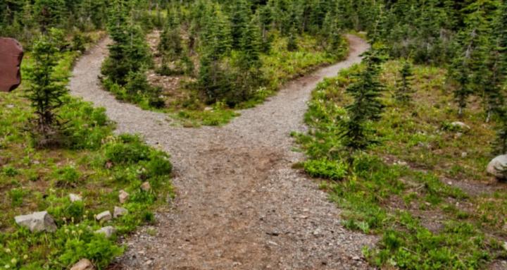 The Crossroads Collective