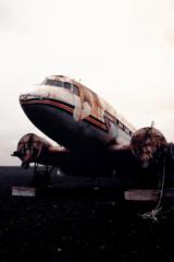 Michael Almonte Luna