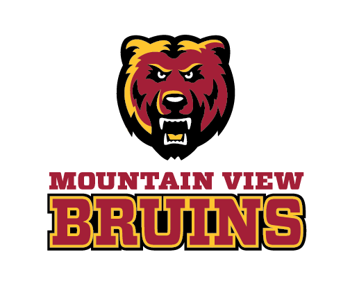 Mountain View HS Basketball