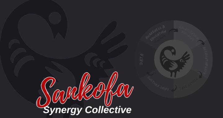 Sankofa Synergy Collective