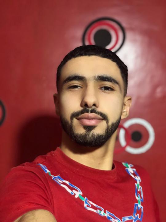 Allem Mehdi