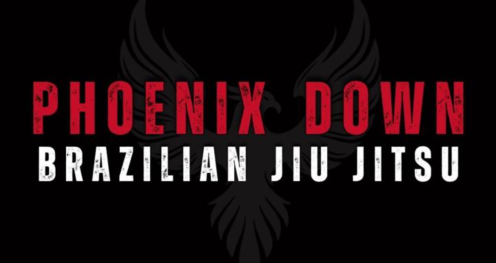 PDBJJ Adult Program