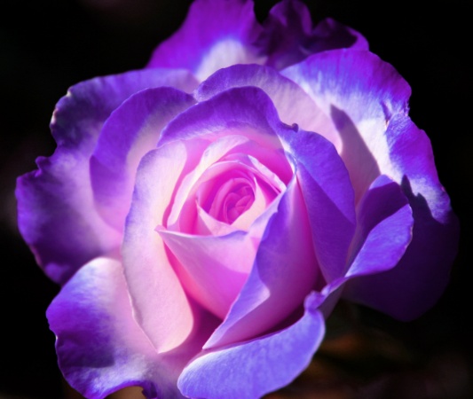 Marie R