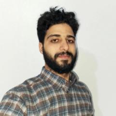 Mohammed Taoufiki