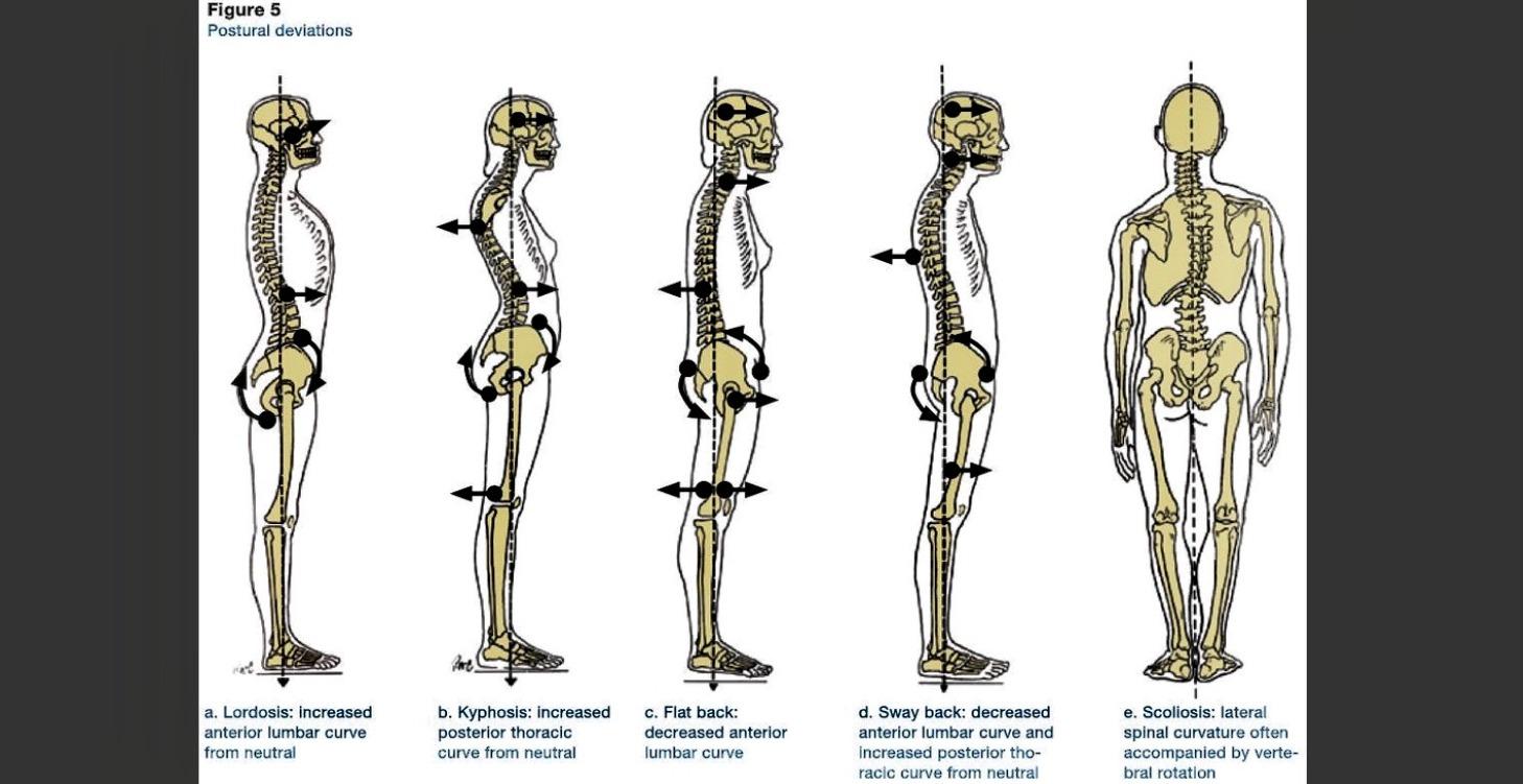 Structural Health 🦴