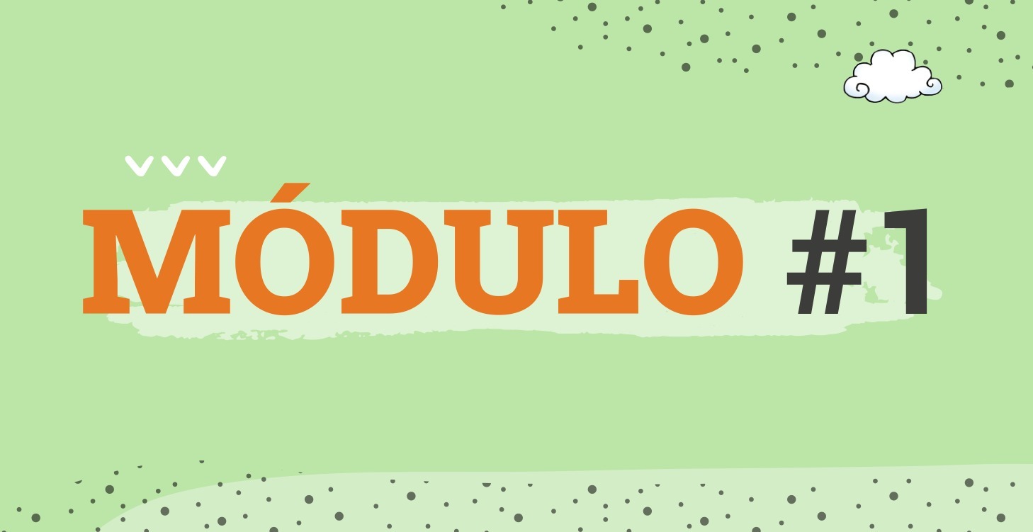 Raíces: Comprender para acompañar