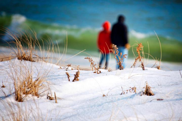 ❄️ Off-Season in The Hamptons: Why Winter Might Be the Real Secret