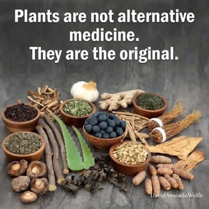 Plants as Medicine