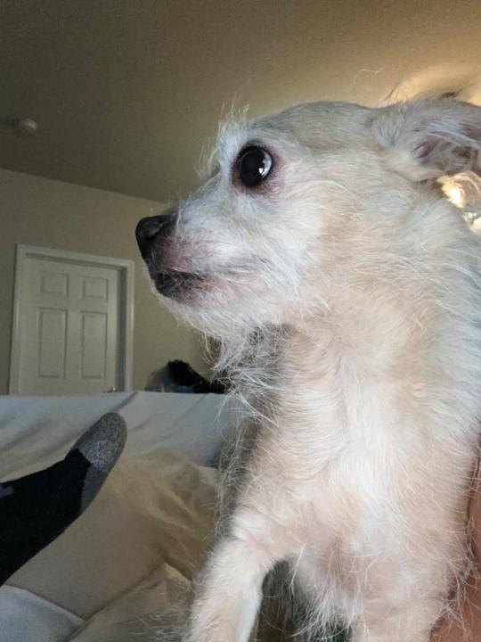 Kristopher Quehenberger