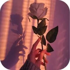 Clara Marie Hoffmann