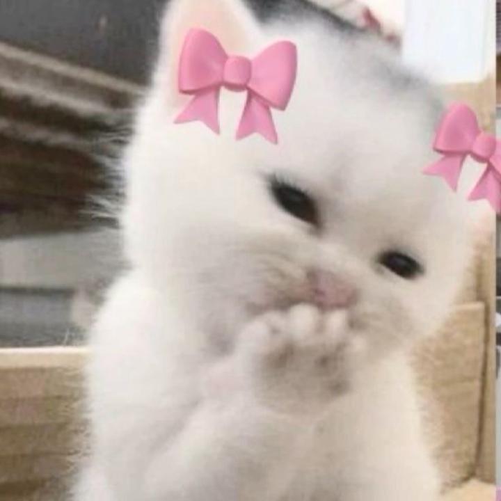 Lucie Václavíčková