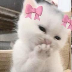 Lucie Václavíčková