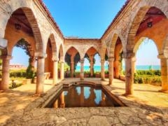 Елена Атанасова