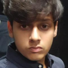 Rishab Tomar
