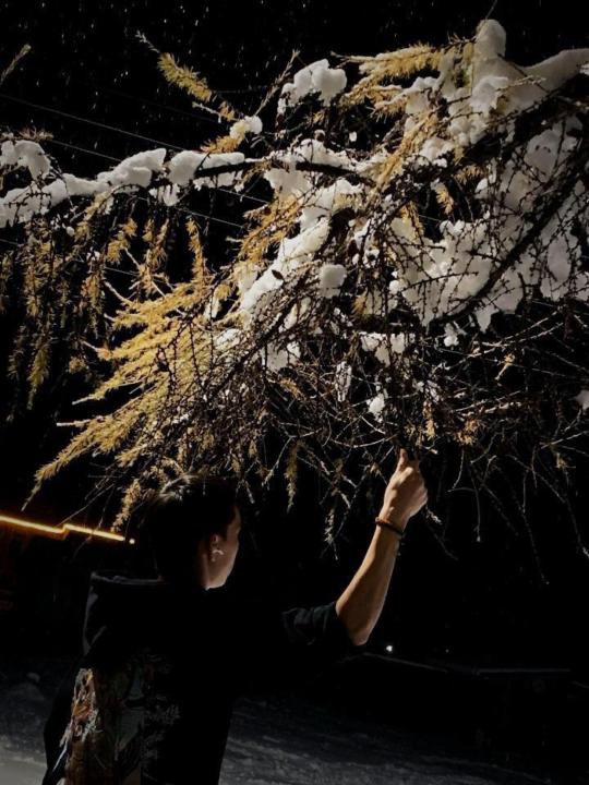 Monhtulga Monhtsetseg