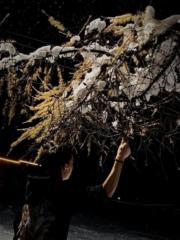 Monhtulga Monhtsetseg