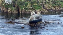 Catherine Currah