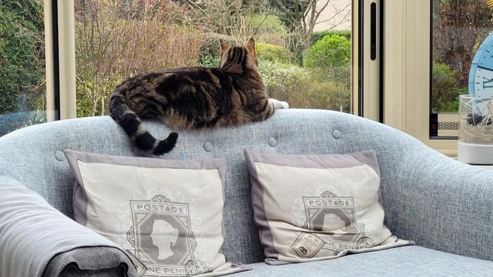 Isabelle Kouvtanovitch