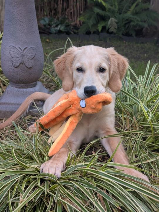 Kinda Youssef Allamaa