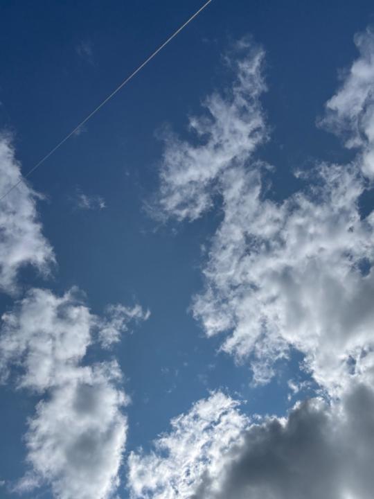 MenoLIV Din menopause sparringspartner