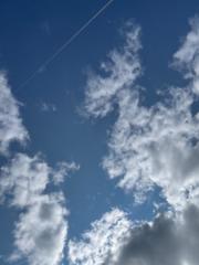 MenoLIV Din menopause sparringspartner